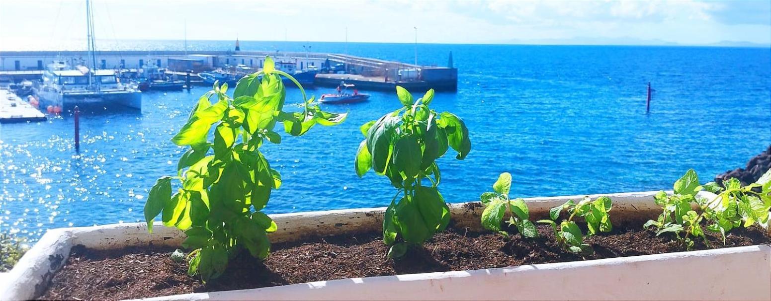 Buena Pesca 7 Apartamento Puerto del Carmen  Exterior foto